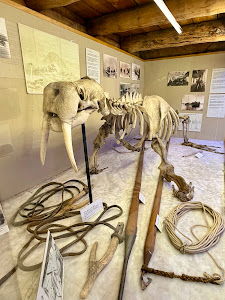 The Polar Museum