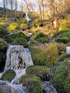 Geotop Leyenbach-Wasserfall — fotografia 4