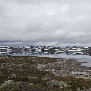 Ørteren