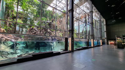CosmoCaixa Museum of Science — fotografia 3