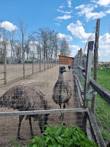 KUNADACSI HORGÁSZCENTRUM ÉS PIHENŐPARK — fotografia 5