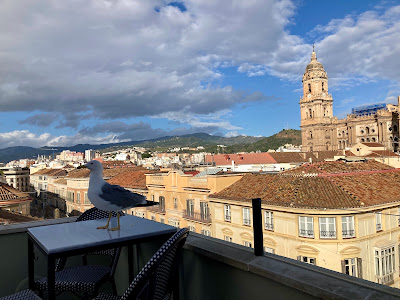 Vincci Rooftop Terrace (El Taller de Larios 10) — fotografia 4