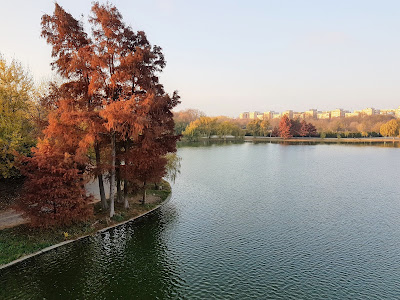 Parcul Tineretului — fotografia 3