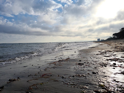 Diedrichshagen Strand — fotografia 5
