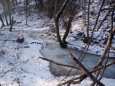 Diósjenő Forest Recreation Park — fotografia 3