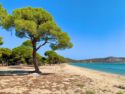 Schinias Beach — fotografia 4