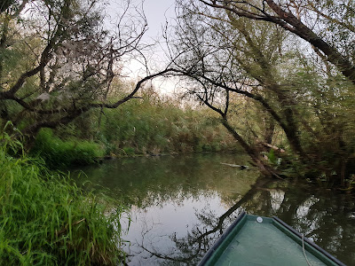 Tisza-tavi csónak túra - HÓD vízitúra Tisza-tó — fotografia 3