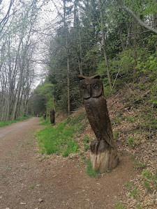 Waldgeisterweg — fotografia 5