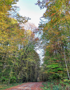 Pješačka poučna staza "Šumarica" — fotografia 3