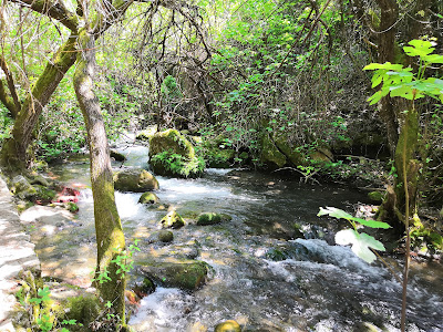 Sendero Río Majaceite — fotografia 4