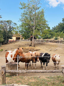Aytos Zoo — fotografia 5