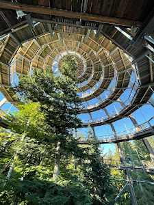 Baumwipfelpfad Bavarian Forest — fotografia 3