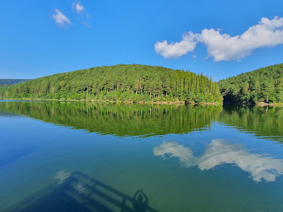 Lacul Gozna
