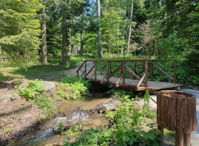 “Pesako” Eco trail (north entrance) — fotografia 4