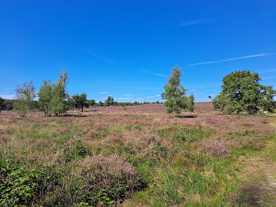 Uitkijktoren De Afferdense Duinen — fotografia 5