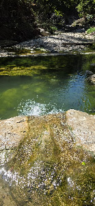 Salt's Gorg — fotografia 4