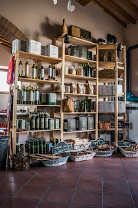 Agricampeggio Gli Olmi — fotografia 5