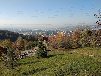 Forest Park Mojmilo