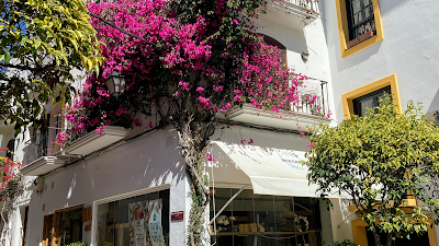 MIA CAFE - Tapas & Bar — fotografia 5