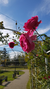Parcul Lidia — fotografia 5