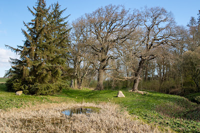 Stensby Møllebæk (Malling's Gorge) — fotografia 5