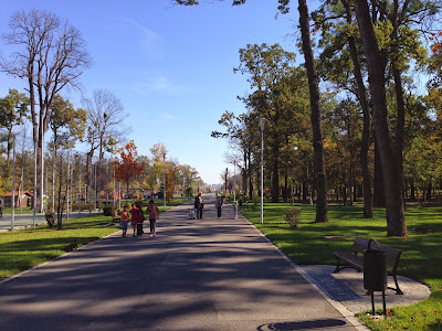 Parcul Tineretului — fotografia 3
