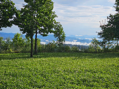 ASFINAG Rastplatz Herzogberg Nord — fotografia 5