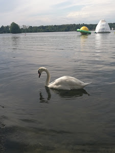 Camping Kahl am Main — fotografia 5