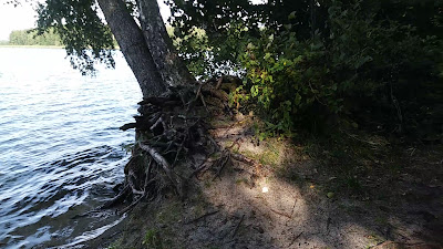 Campsite in Elganowo — fotografia 2