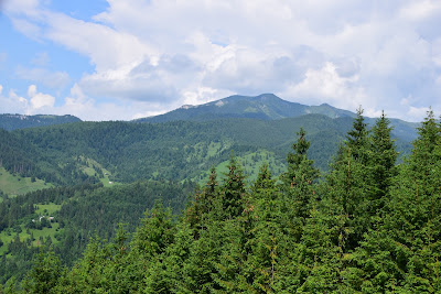 Salvamont Borşa