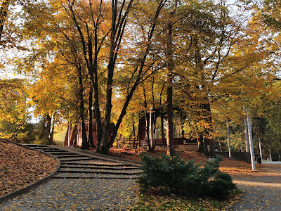 Parcul Sub Arini — fotografia 5