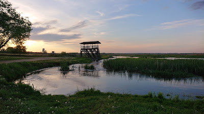 Narew National Park — fotografia 3