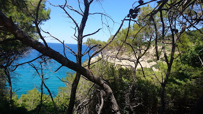 Mikros Aselinos beach — fotografia 4