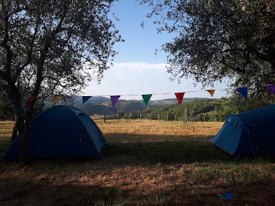 Agricamping L'Apicorno- Campeggio nel Chianti — fotografia 4