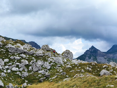 Prutaš
