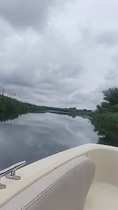 Lacul Murighiol — fotografia 5