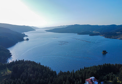 Dospat Reservoir