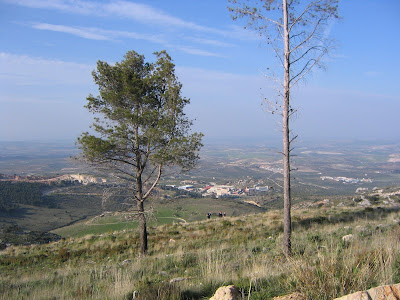Fuente del Palo