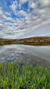 Lacul Sub Pădure