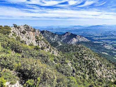 Cerro de La Selva