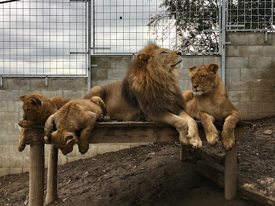 Zoopark Olovnice