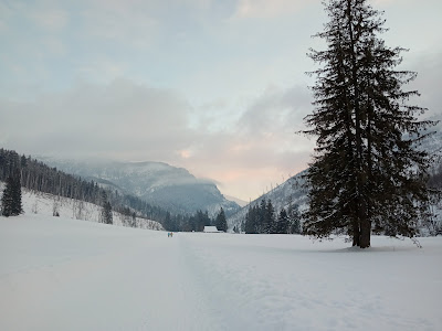 Kościeliska Valley
