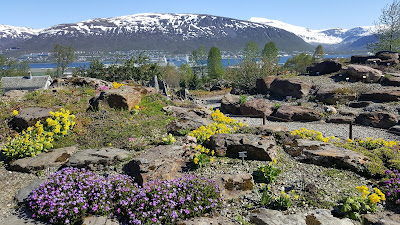 Arctic–Alpine Botanic Garden