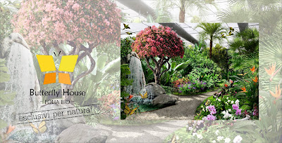 Butterfly House Sardegna