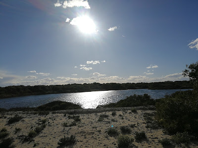 Playa Lago Saler