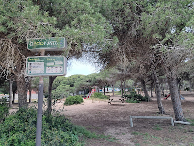 infantil Pinares Chiclana Park