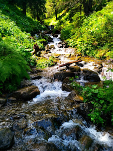 Cascada Prutului
