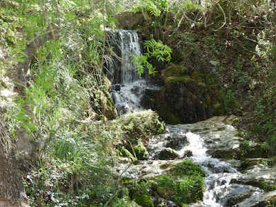Área Recreativa De La Fuensanta