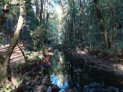 Area Recreativa De Angueira