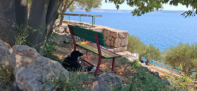 Camp Stine
